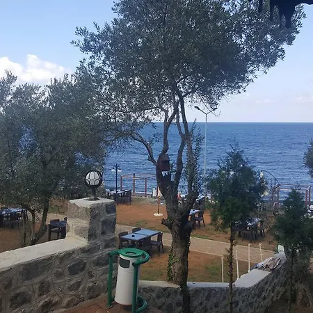 Pasa Tatil Koeyue *